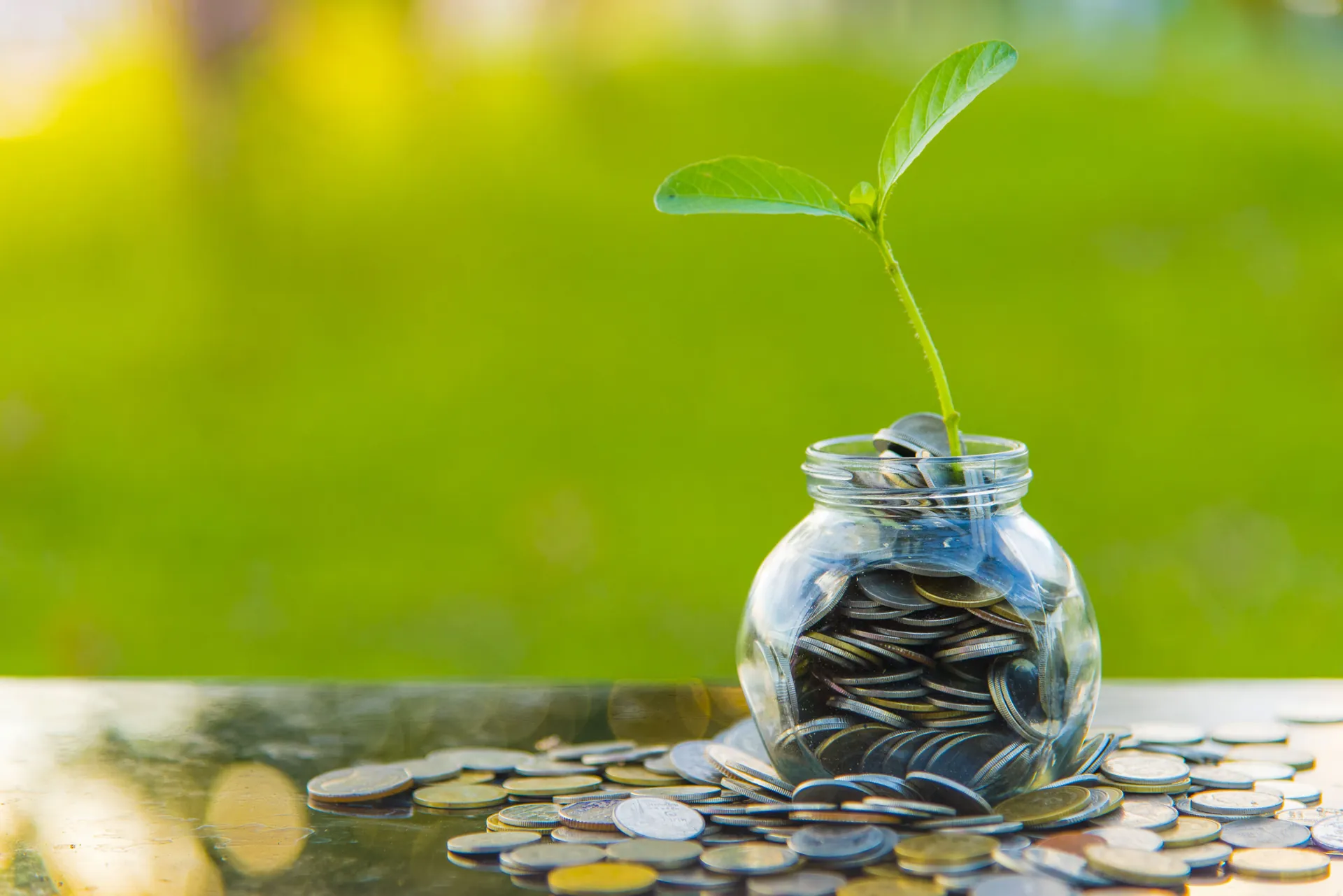 Understanding Risk and Return in Financial Investments